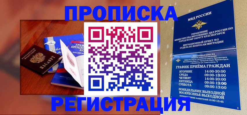 временная регистрация для школы в Новосибирской области